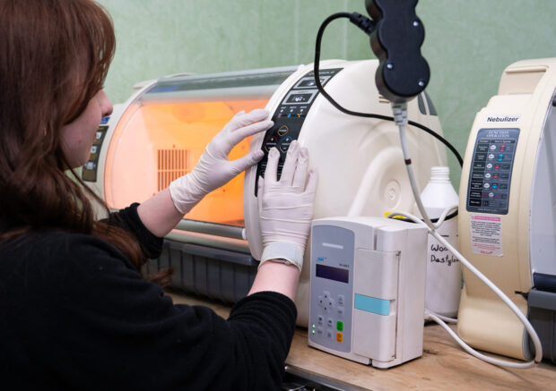 Klinika Weterynaryjna Giszowiec