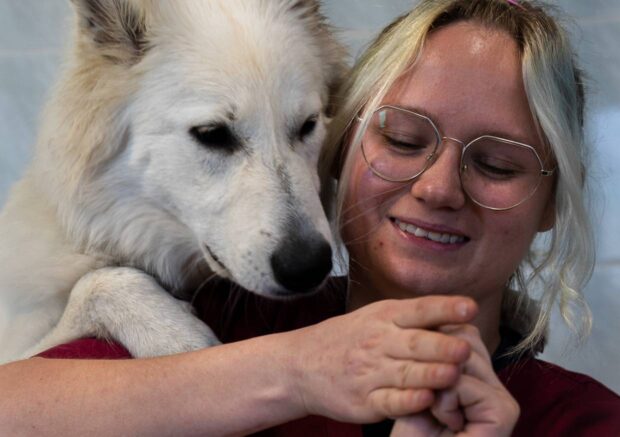 Klinika Weterynaryjna Giszowiec