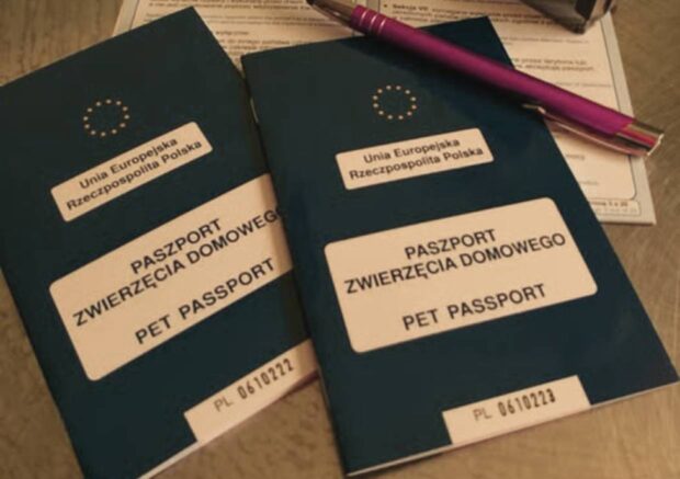 Klinika Weterynaryjna Giszowiec