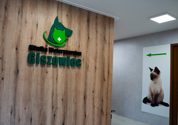 Weterynarz Siemianowice Śląskie, całodobowa klinika weterynaryjna